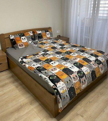 Велюровое постельное белье плюш микрофибра флис бязь евро 200х220 Cats 2389085578 фото